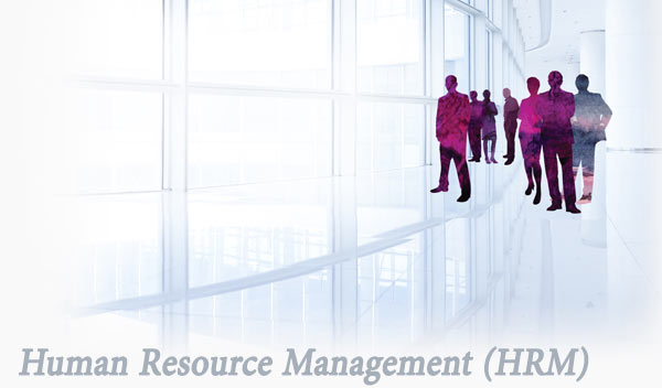 مشاوره مدیریت منابع انسانی HRM